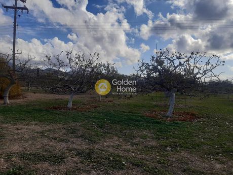 Land plot 6.300sqm for sale-Aegina » Pagoni