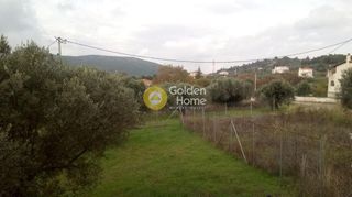 Μεζονέτα 357 τ.μ. για πώληση, Αττική - Υπόλοιπο, Πολυδένδρι-thumb-31