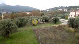 Μεζονέτα 357 τ.μ. για πώληση, Αττική - Υπόλοιπο, Πολυδένδρι-thumb-28