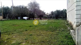 Μεζονέτα 357 τ.μ. για πώληση, Αττική - Υπόλοιπο, Πολυδένδρι-thumb-9