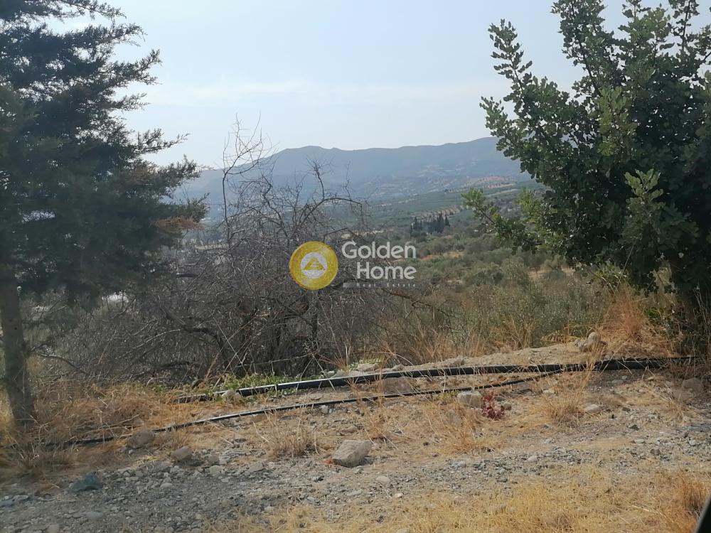 Αγροτεμάχια 3.500 τ.μ. προς πώληση, Άγιος Ιωάννης Σφακίων