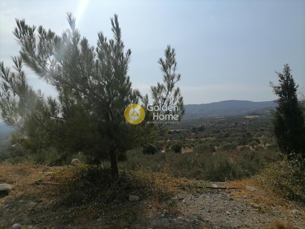 Αγροτεμάχια 3.500 τ.μ. προς πώληση, Άγιος Ιωάννης Σφακίων