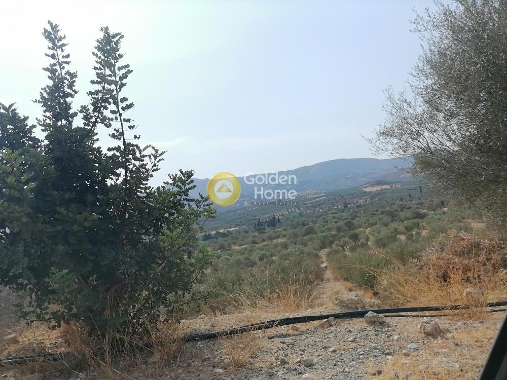 Αγροτεμάχια 3.500 τ.μ. προς πώληση, Άγιος Ιωάννης Σφακίων