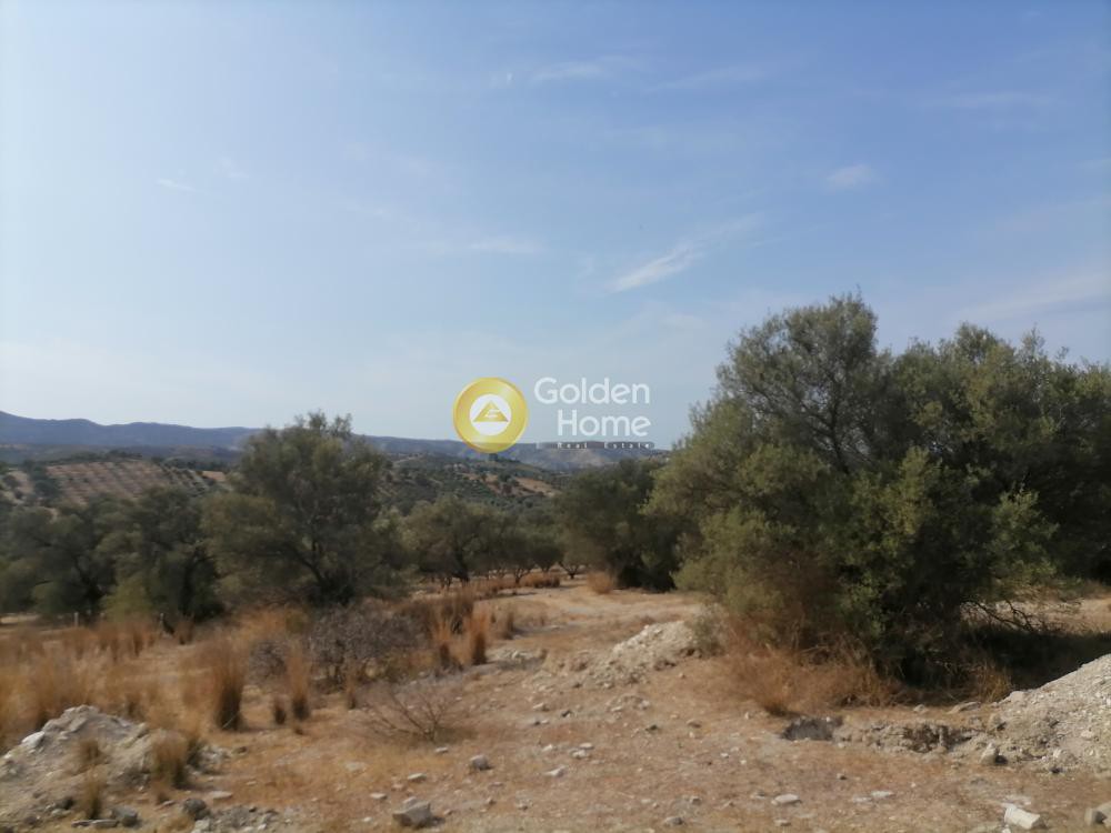 Αγροτεμάχια 3.500 τ.μ. προς πώληση, Άγιος Ιωάννης Σφακίων