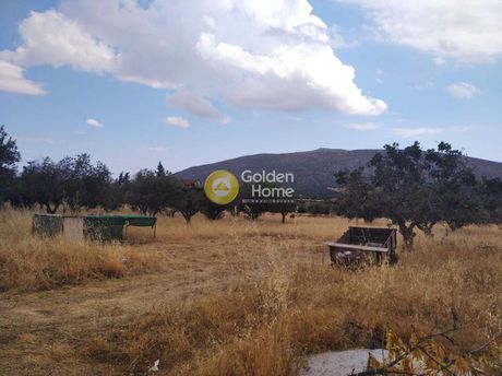 Parcel 15.000sqm for sale-Keratea » Ari