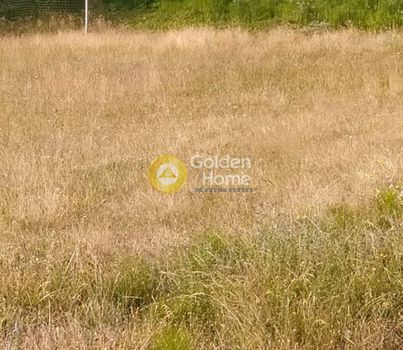 Αγροτεμάχια 1.375τ.μ. για πώληση-Καστέλλι » Απόστολοι