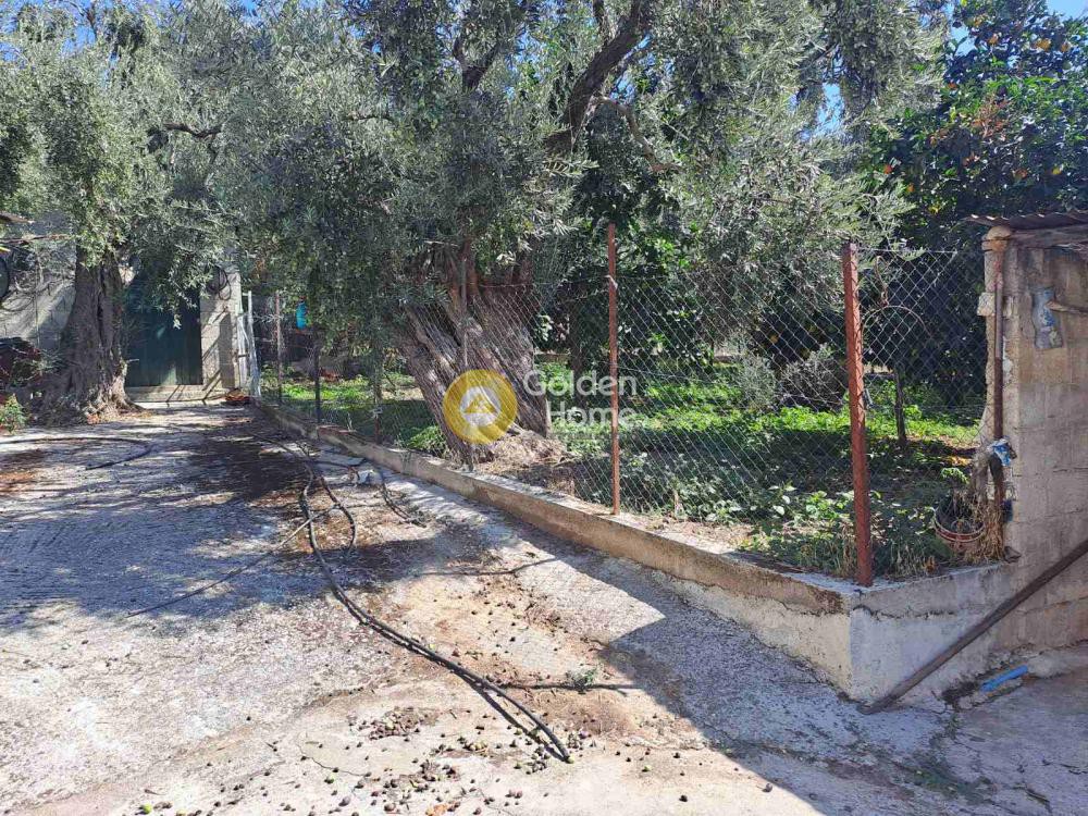 Οικόπεδο 8.510 τ.μ. πρός πώληση, Μαγνησία, Μηλιές
