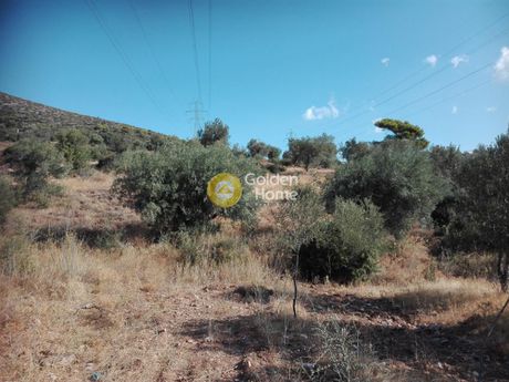 Parcel 15.000sqm for sale-Paiania » Agia Triada