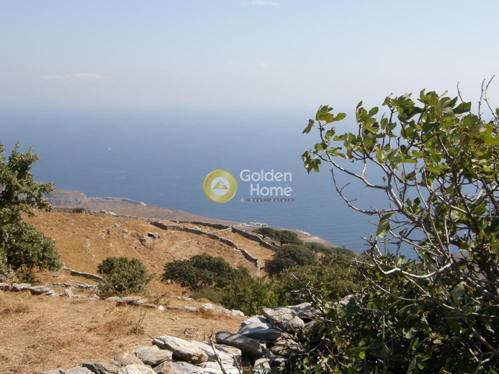Αγροτεμάχια 55.000 τ.μ. προς πώληση, Πέρα Μεριά