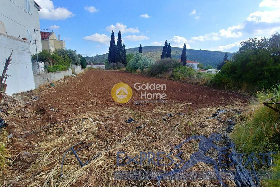 Αγροτεμάχια 5.032 τ.μ. προς πώληση, Μητροπήσι