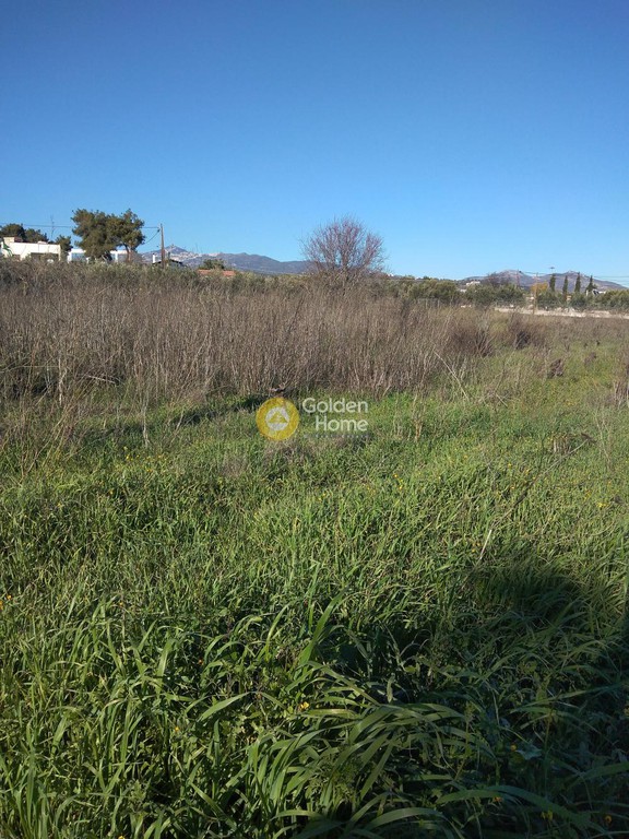 Αγροτεμάχια 5.410 τ.μ. προς πώληση, Κέντρο Παλλήνης