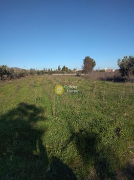 Αγροτεμάχια 5.410τ.μ. για πώληση-Παλλήνη » Κέντρο