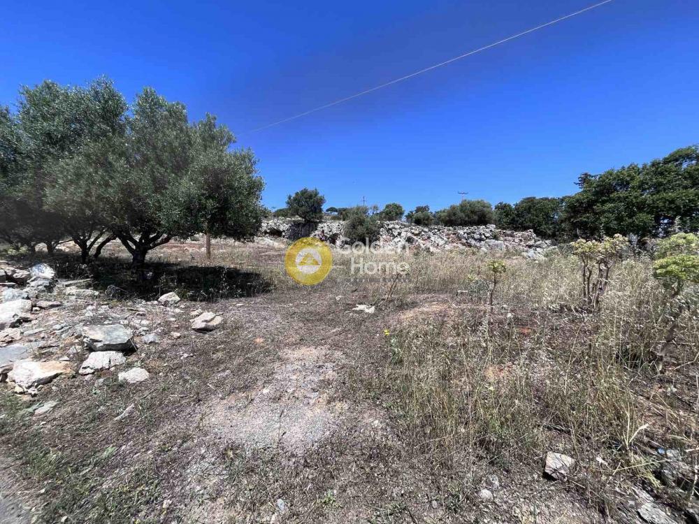 Οικόπεδο 750 τ.μ. προς πώληση, Μοχός