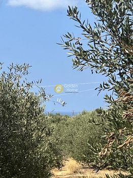 Οικόπεδο 2.413τ.μ. για πώληση-Χερσόνησος » Αγριανά