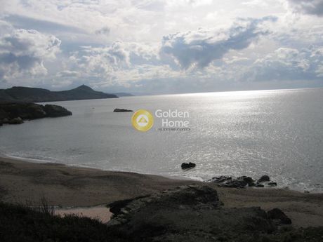 Οικόπεδο 86.000τ.μ. για πώληση-Βοϊων » Πλατανιάς