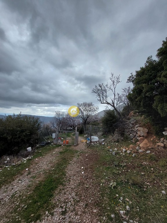 Αγροτεμάχια 3.300 τ.μ. προς πώληση, Αράχοβα Βοιωτίας