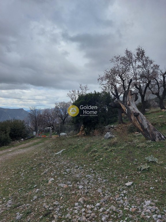Αγροτεμάχια 3.300 τ.μ. προς πώληση, Αράχοβα Βοιωτίας