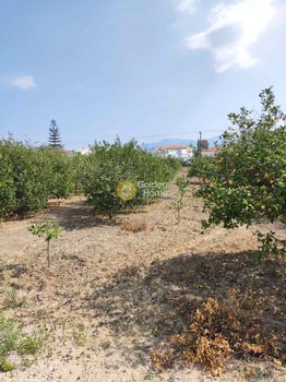 Land plot 1.300sqm for sale-Xilokastro » Oikodomikos Sinetairismos Ipallilon Dei