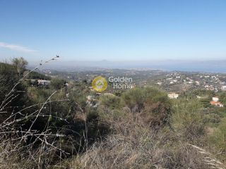 Αγροτεμάχια 1.585 τ.μ. για πώληση