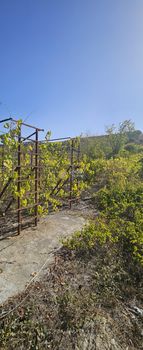 Land plot 8.692sqm for sale-Heraclion Cretes » Foinikia
