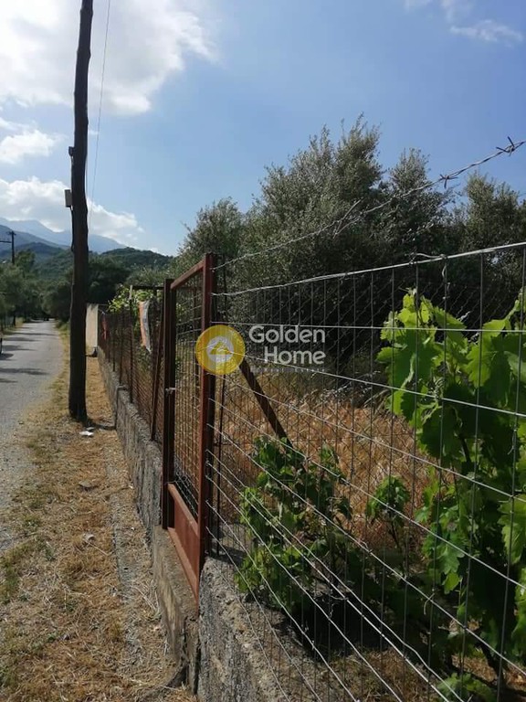 Οικόπεδο 832 τ.μ. προς πώληση, Δάφνη Φαρίδας
