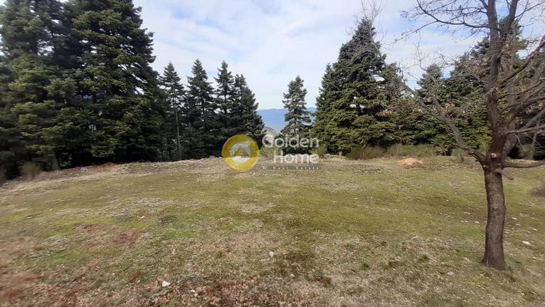 Επιχειρηματικό κτίριο 243 τ.μ. για ενοικίαση, Φωκίδα, Παρνασσός