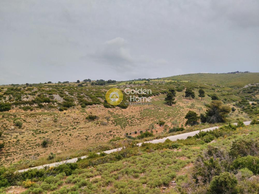 Αγροτεμάχια 38.600 τ.μ. προς πώληση, Κέντρο Γραμματικού