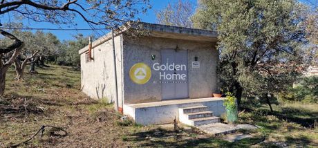 Αγροτεμάχια 10.700τ.μ. για πώληση-Μαρκόπουλο » Κέντρο