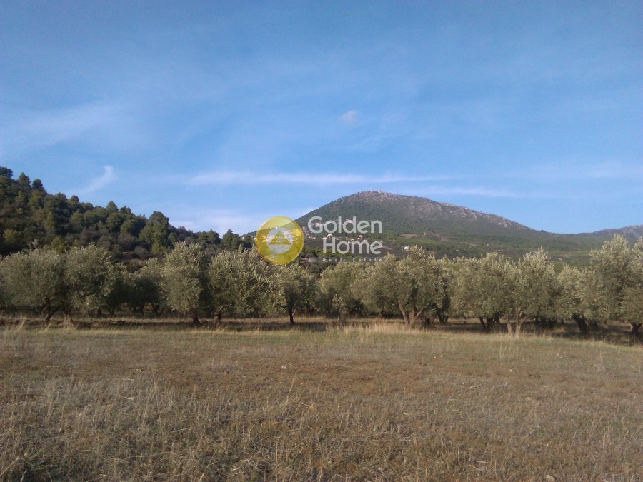 Αγροτεμάχια 10.000 τ.μ. προς πώληση, Άγιος Γεώργιος Λιχάδας