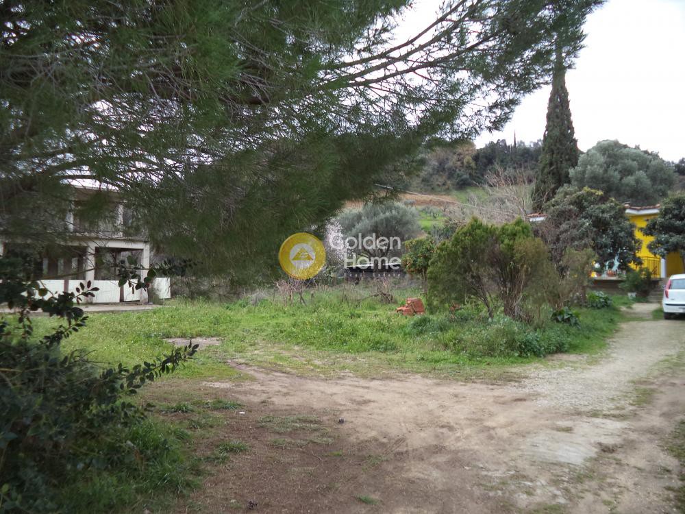 Κτίριο 380 τ.μ. προς πώληση, Καμάρες Ερινεού