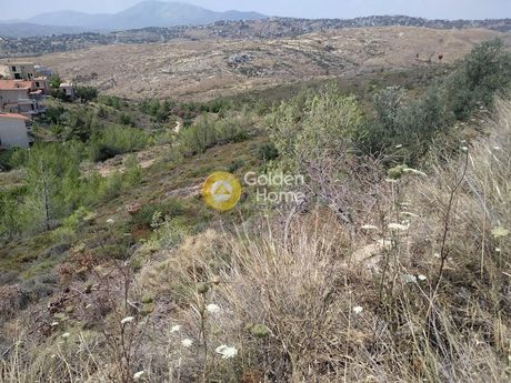 Οικόπεδο 500τ.μ. για πώληση-Πικέρμι » Διώνη