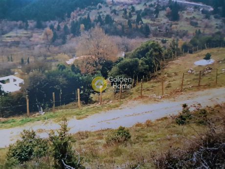 Οικόπεδο 1.957τ.μ. για πώληση-Καρπενήσι » Μεσαμπελιά