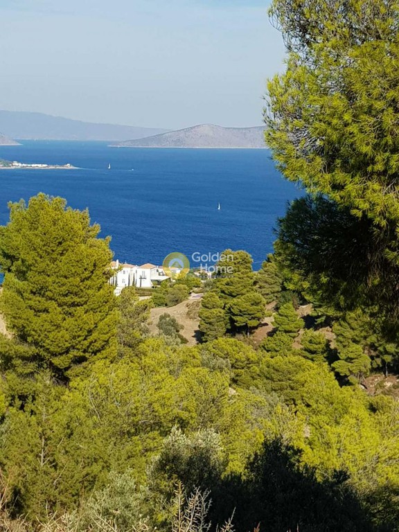Αγροτεμάχια 38.000 τ.μ. προς πώληση, Μονή Αγίων Πάντων Σπετσών