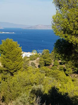 Αγροτεμάχια 38.000τ.μ. για πώληση-Σπέτσες » Μονή αγίων πάντων