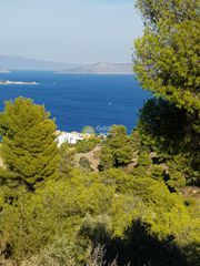 Αγροτεμάχια 38.000 τ.μ. για πώληση