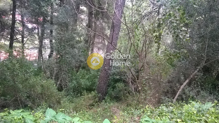 Οικόπεδο 405 τ.μ. προς πώληση, Κιούρκα