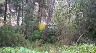 Οικόπεδο 405 τ.μ. για πώληση