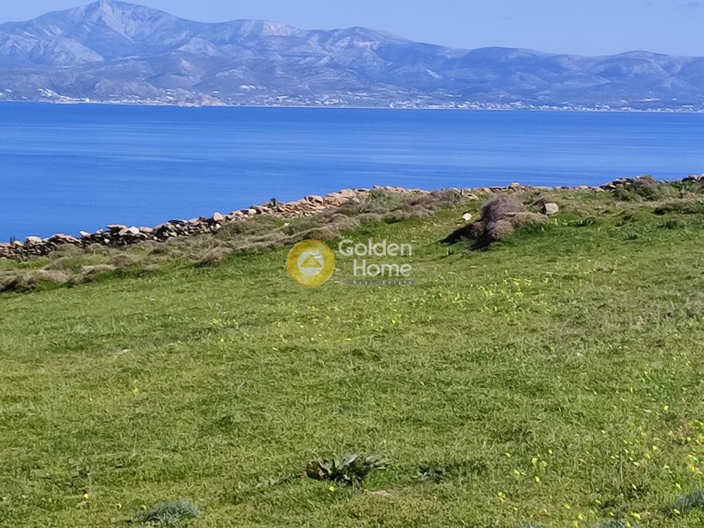 Οικόπεδο 155.637 τ.μ. προς πώληση, Τζάνες Πάρου
