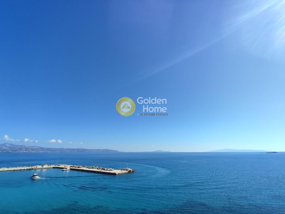 Οικόπεδο 155.637 τ.μ. προς πώληση, Τζάνες Πάρου