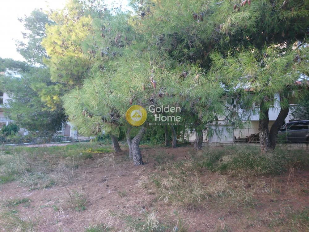 Οικόπεδο 450 τ.μ. προς πώληση, Βαρυμπόμπη