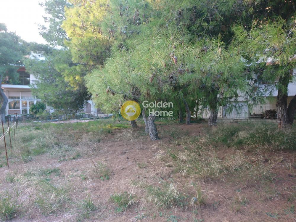 Οικόπεδο 450 τ.μ. προς πώληση, Βαρυμπόμπη