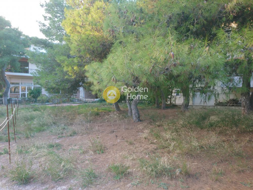 Οικόπεδο 450 τ.μ. προς πώληση, Βαρυμπόμπη