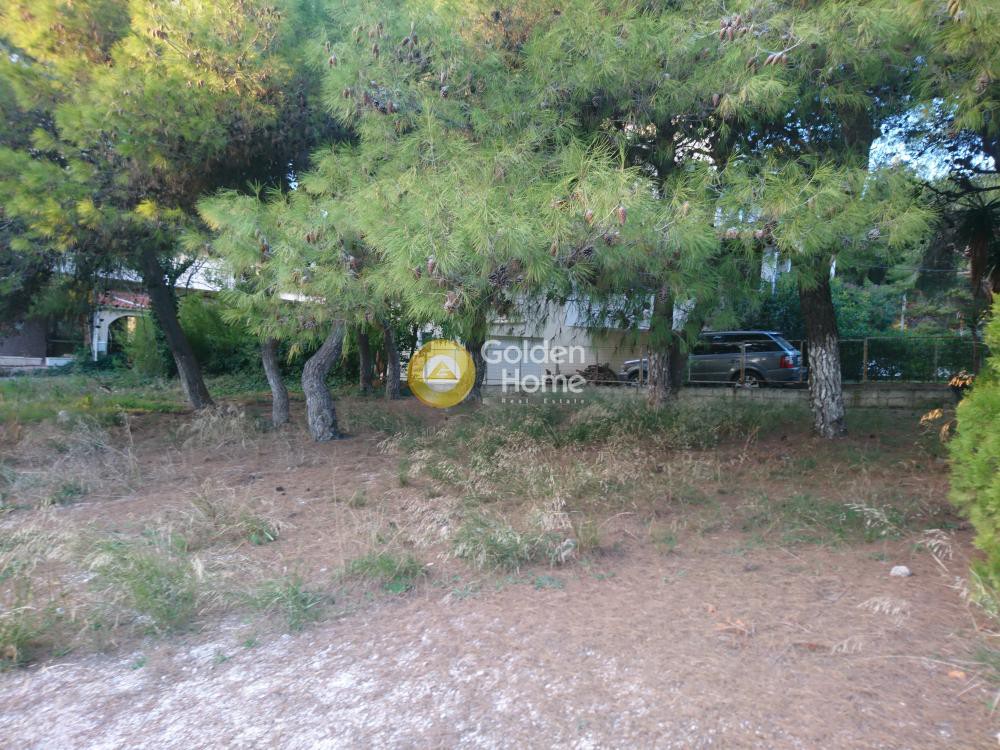 Οικόπεδο 450 τ.μ. προς πώληση, Βαρυμπόμπη