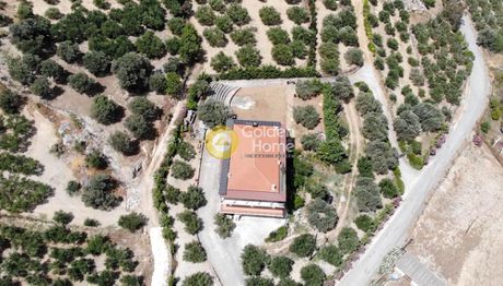 Αγροτεμάχια 32.000τ.μ. για πώληση-Τετραχώρι » Σίβα