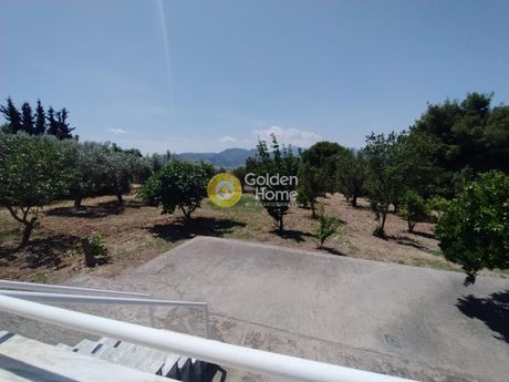Μεζονέτα 140τ.μ. για ενοικίαση-Μαλεσίνα » Προσκυνάς