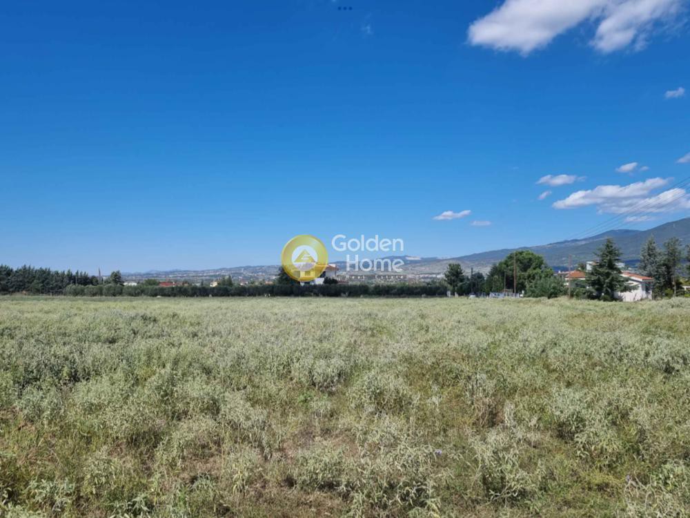 Αγροτεμάχια 3.850 τ.μ. προς πώληση, Αγία Παρασκευή Θέρμης