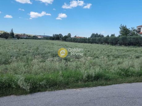 Αγροτεμάχια 3.850τ.μ. για πώληση-Θέρμη » Αγία παρασκευή