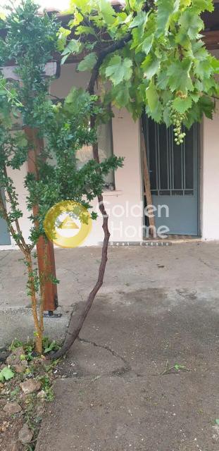 Κτίριο 194 τ.μ. πρός πώληση, Ν. Δράμας, Προσοτσάνη