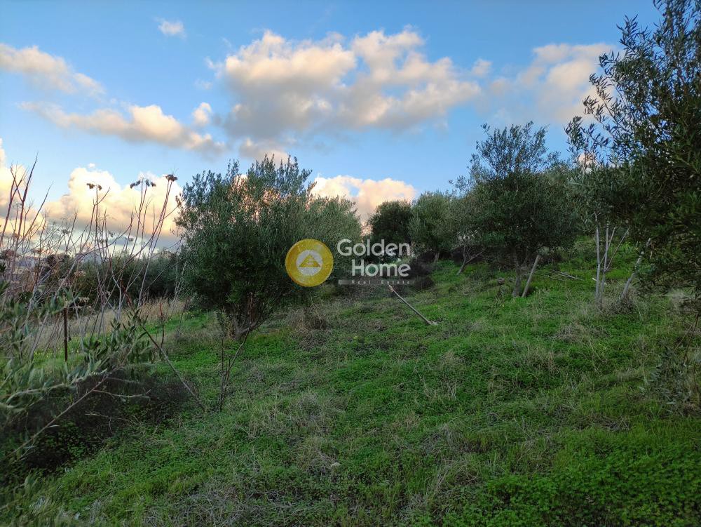 Οικόπεδο 1.562 τ.μ. προς πώληση, Βούτες