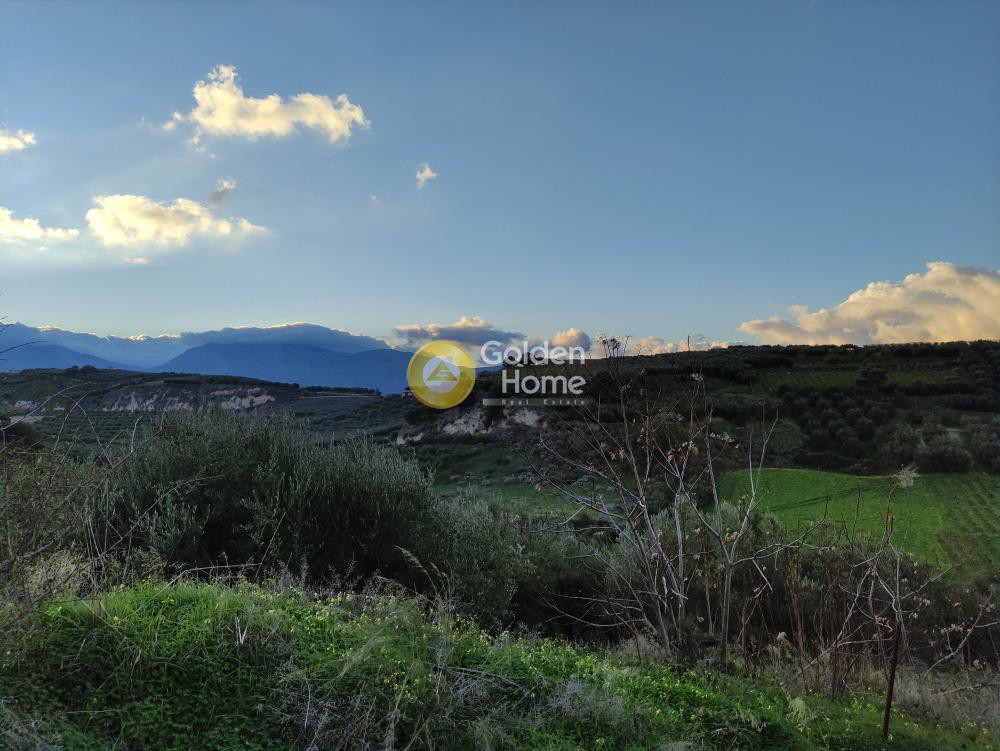 Οικόπεδο 1.562 τ.μ. προς πώληση, Βούτες